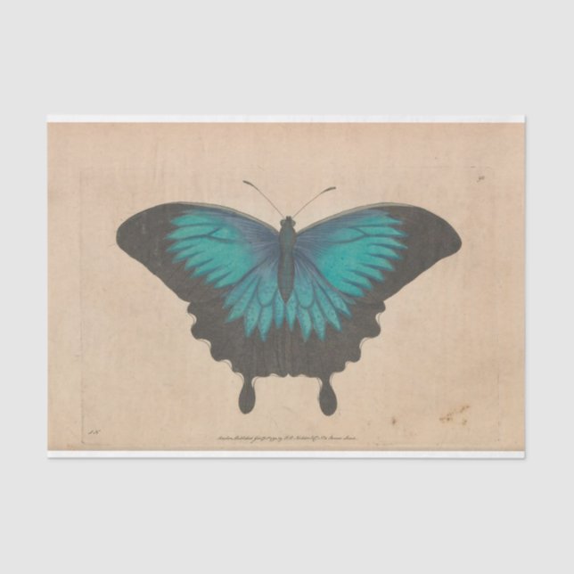 Vintage Blue Butterfly Ephemera Decoupage Teal Tissue Paper (Front)