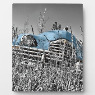 vintage blue car plaque