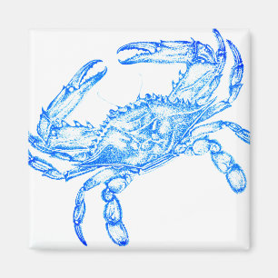 Vintage blue crab magnet