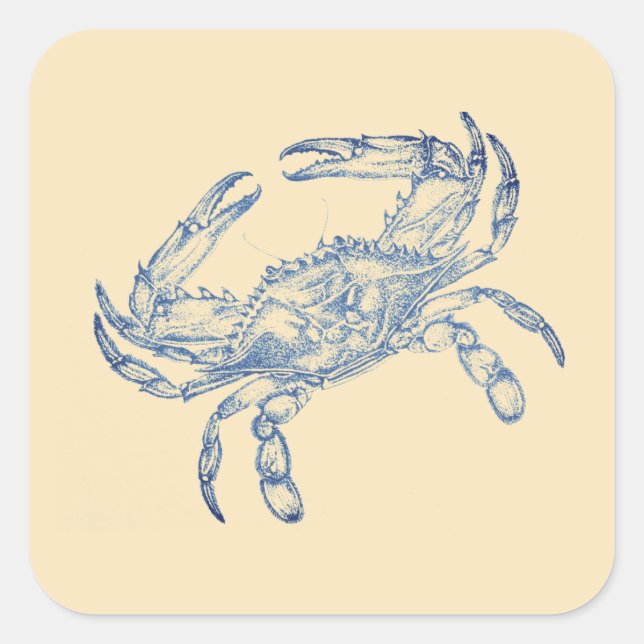 Vintage  blue  crab no2    square sticker (Front)