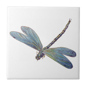 Vintage Blue Dragonfly Tile