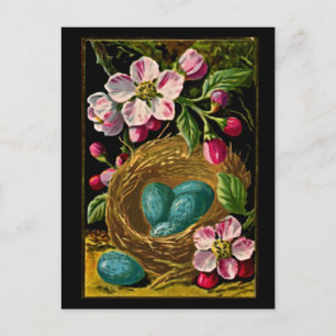 Vintage Blue Eggs in Nest with Flowering Branches Postcard