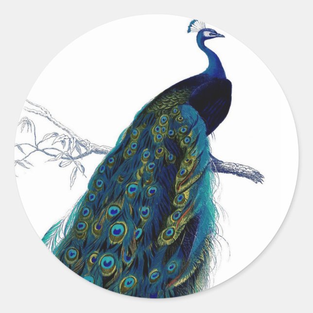 Vintage Blue Elegant Colourful Peacock Classic Round Sticker (Front)