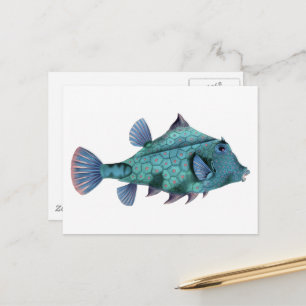 Vintage Blue Fish Postcard