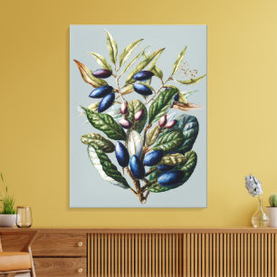 Vintage Blue Fruit Botanical Sarah Featon Art Canvas Print