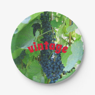 Vintage blue grapes  paper plate