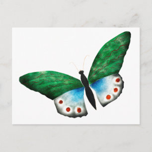 Vintage Blue Green Butterfly Illustration Postcard