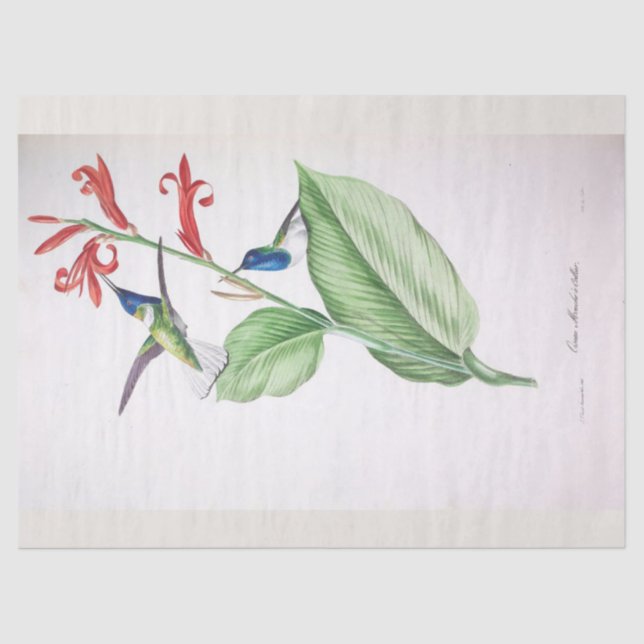 Vintage Blue Humming Bird Ephemera Decoupage  Tissue Paper (Front)