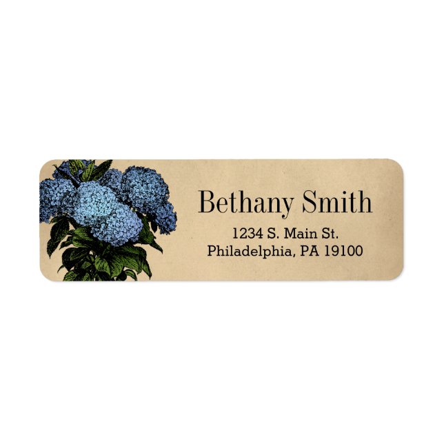 Vintage Blue Hydrangea Botanical Floral (Front)
