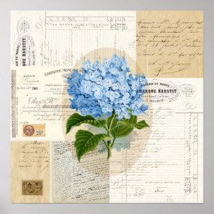 Vintage Blue Hydrangea French Ephemera Print Postr