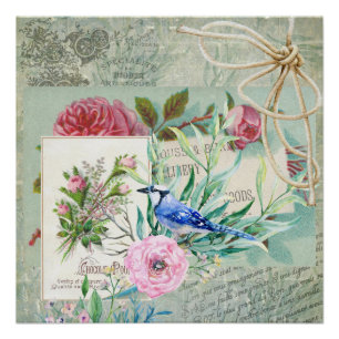 Vintage Blue Jay Bird Pink Rose Floral Collage Poster