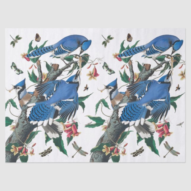 Vintage Blue Jay Birds Collage Pattern.  Tissue Paper (Front)