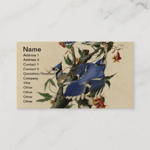 Vintage Blue Jay Business Card