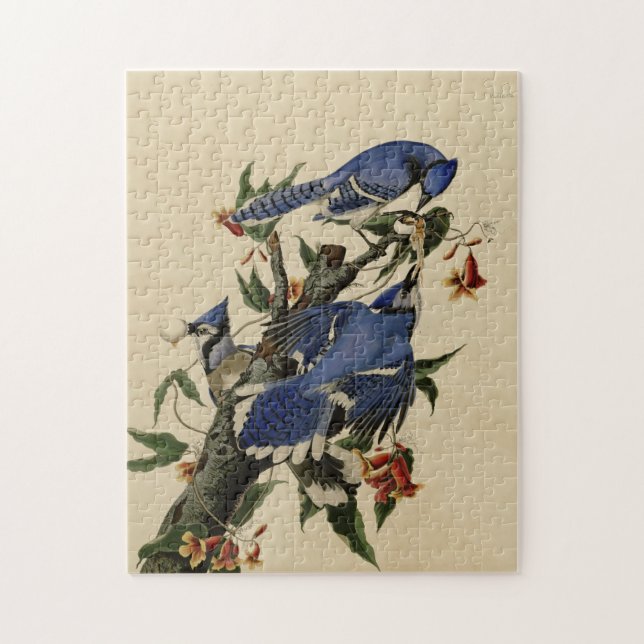 Vintage Blue Jay Puzzle (Vertical)