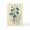 Vintage Blue Larkspur Flower