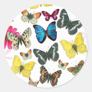 Vintage Blue Red Yellow Colourful Butterflies Classic Round Sticker