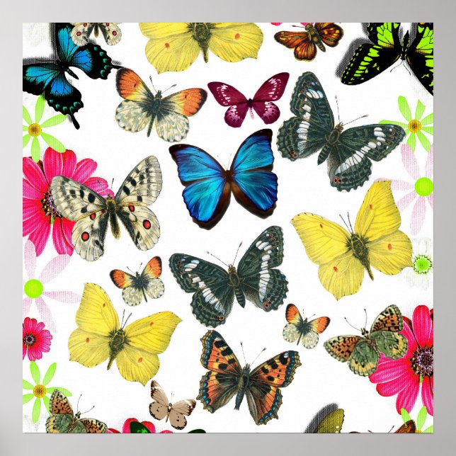 Vintage Blue Red Yellow Colourful Butterflies Poster (Front)