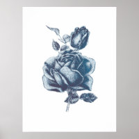 Vintage Blue Rose Drawing