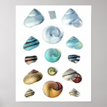 Vintage blue Seashells poster