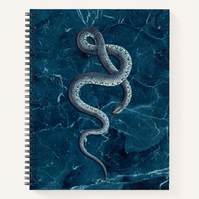 Vintage Blue Snake & Marble Notebook (Front)