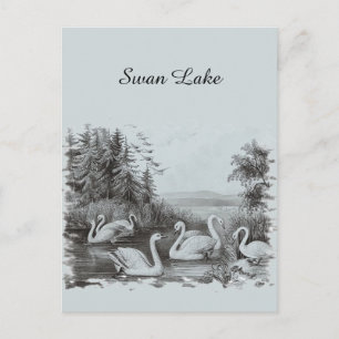 Vintage Blue Swan Lake Postcard