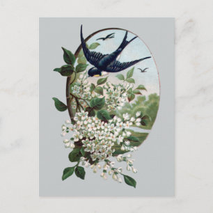Vintage Bluebird and Branch of Blossoms Postcard