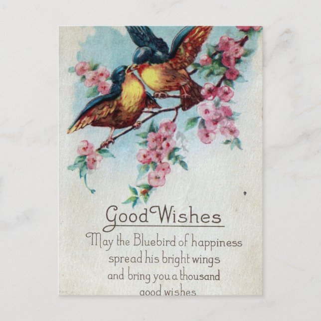 Vintage Bluebird Good Wishes Postcard (Front)
