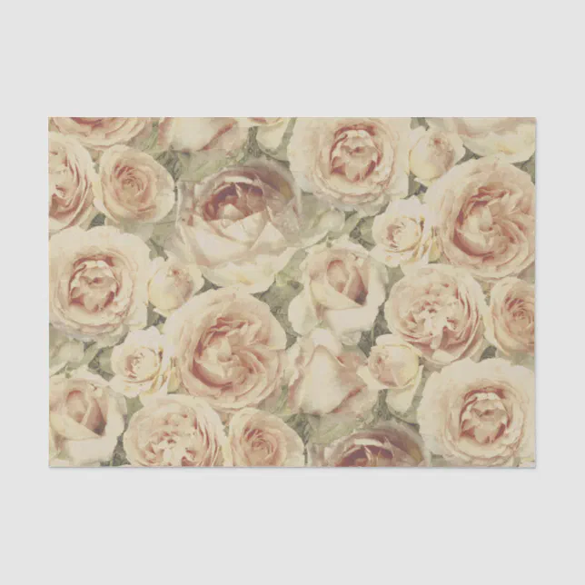 Vintage Blush Pink Roses Floral Pattern Tissue Paper | Zazzle