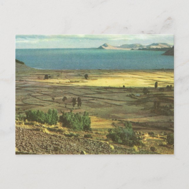 Vintage Bolivia, Lake Titicaca Postcard (Front)
