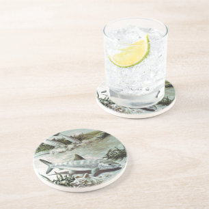 Vintage Bonefish Underwater Scene Coaster