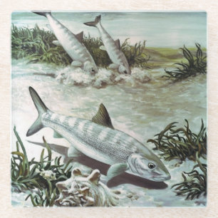 Vintage Bonefish Underwater Scene Glass Coaster