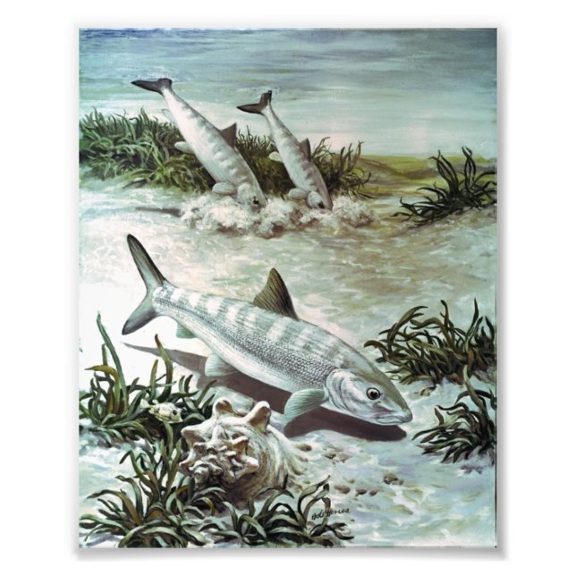 Vintage Bonefish Underwater Scene Photo Print (Front)