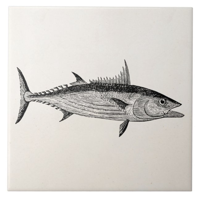 Vintage Bonito Fish - Aquatic Fishes Template Tile (Front)