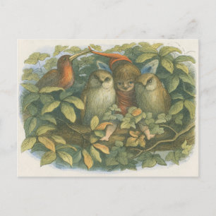 Vintage Book Illustration of Fairy, Owls, and Bird Postcard