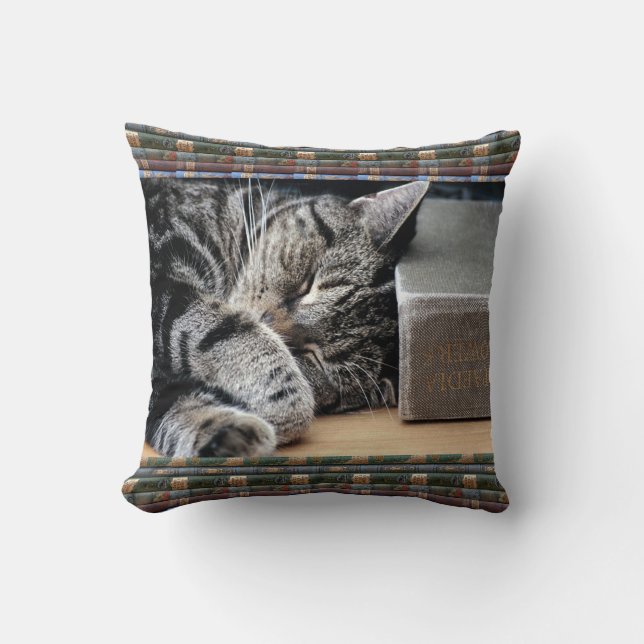 Vintage Book Lover Sleeping Cat Cushion (Front)