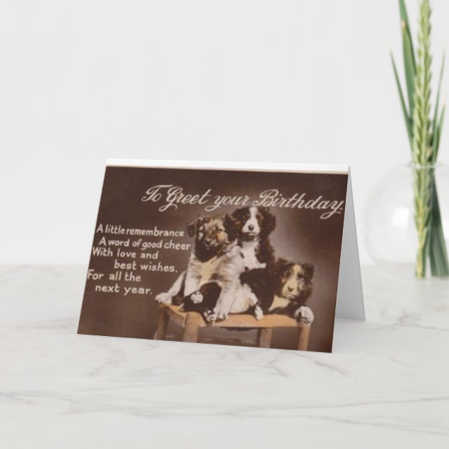 Vintage Border Collie Birthday Card (Front)