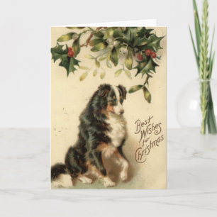 Vintage Border Collie Christmas Card