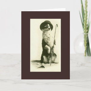 Vintage Border Collie Greeting Card