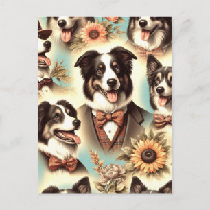 Vintage Border Collie Iluustration Postcard