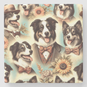 Vintage Border Collie Iluustration Stone Coaster