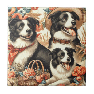 Vintage Border Collie Painting Tile