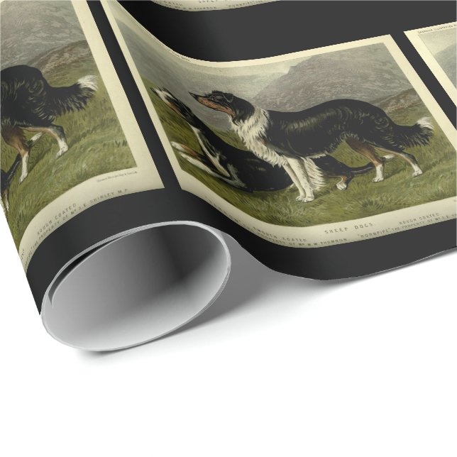 Vintage border collie sheep dogs wrapping paper (Roll Corner)
