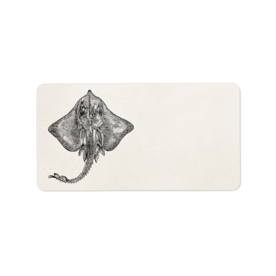Vintage Bordered Ray Stingray - Aquatic Template Address Label