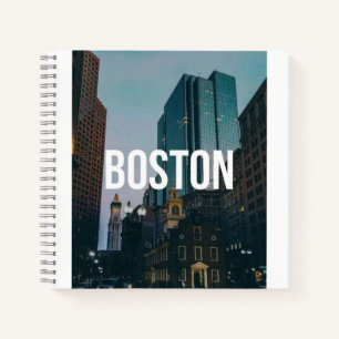 Vintage Boston Cityscape Print - Historic Architec Notebook