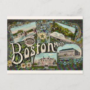 Vintage Boston Frog Pond  Postcard