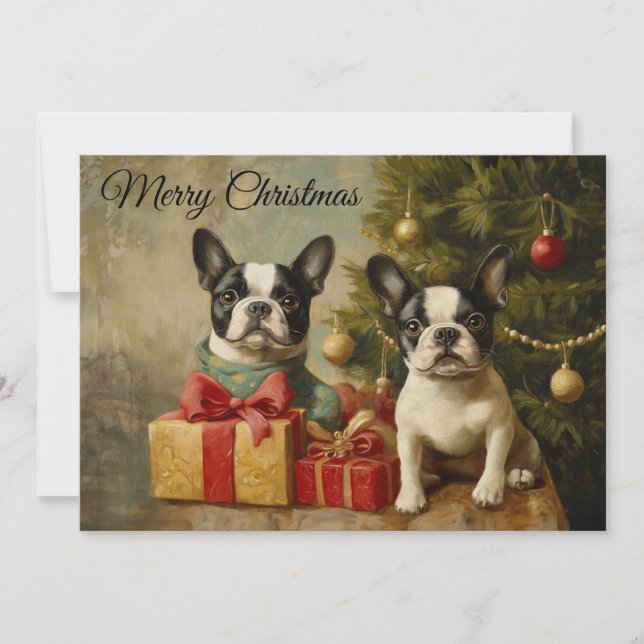 Vintage Boston Terrier Dogs Merry Christmas Holiday Card (Front)