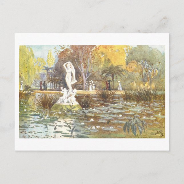 Vintage Botanic Gardens, Adelaide, Australia Postcard (Front)
