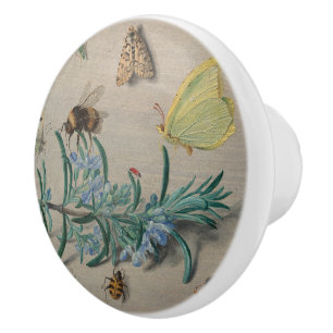 Vintage Botanical and Bee Illustration Ceramic Knob