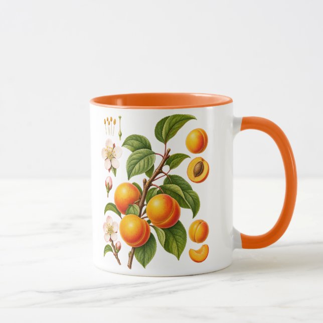 Vintage Botanical Apricot Illustration Mug (Right)