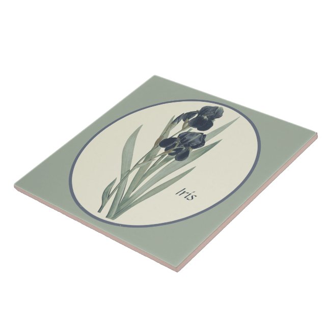 Vintage Botanical Art Iris Blossoms Cameo Tile (Side)